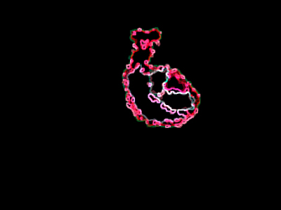 Snail