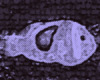 Fishie2